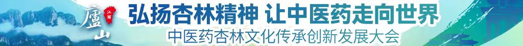 欧美女人日屌视频中医药杏林文化传承创新发展大会